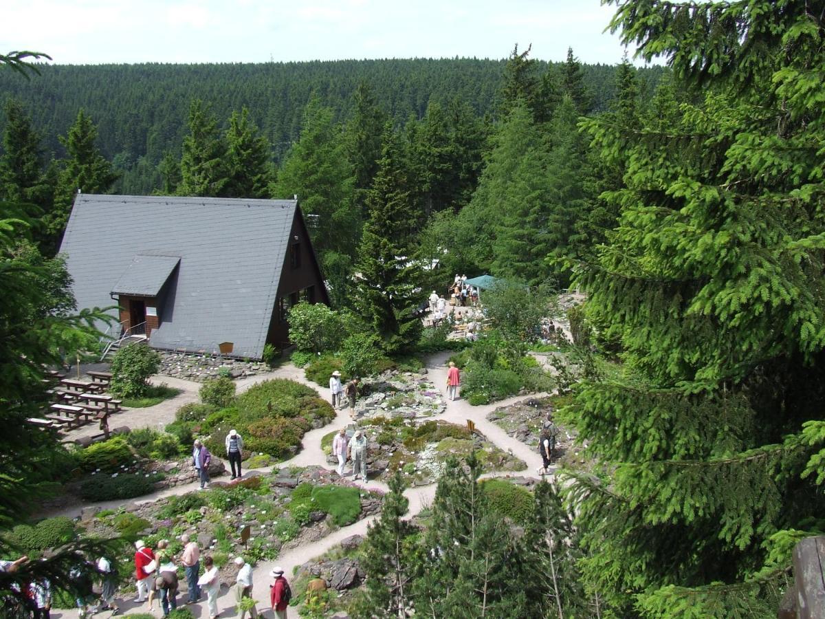 Konsum Gaestehaus Quisisana - Oberhof Oberhof  Exteriér fotografie